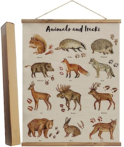 Anairsmo Woodland Animals and Tracks Leinwand Wandkunst Hängendes Poster, Vintage Tier Wandkunst, pädagogische Wandkunst Malerei für Kinderzimmer, Klassenzimmer, Babyzimmer, Schlafzimmer, 40,6 x 61 cm