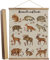Anairsmo Woodland Animals and Tracks Leinwand Wandkunst Hängendes Poster, Vintage Tier Wandkunst, pädagogische Wandkunst Malerei für Kinderzimmer, Klassenzimmer, Babyzimmer, Schlafzimmer, 40,6 x 61 cm