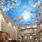 GIVLWF Papier Peint de Plafond Ciel Bleu Nuages Blancs, Fleurs de Cerisier Papier-Peint Murs pour Pour Salon Chambre D'Enfant Décoration Murale - 150 x 70 cm