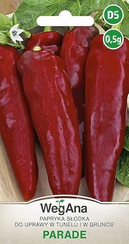WegAna Rote Paprika Parade Samen 0,5g Robuste Gemüsesamen Gemüse Samen Anzucht Saatgut für Gewächshaus Paprikasamen