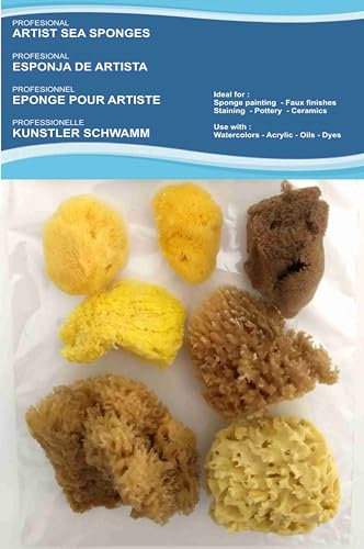 Paquete económico de 7 esponjas naturales para pintura de artistas, para arte y manualidades, pintura, pasatiempos, efectos, cerámica, cerámica, decoración, esponja, bellas artes, textura fina a