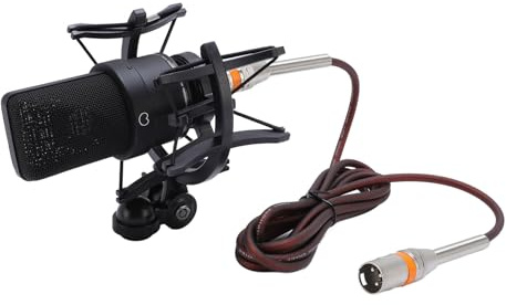 Microfono Studio XLR, Condensatore Signal Condensatore Stabile 16DBA Suono Chiaro per Trasmissione in Diretta (BLACK)