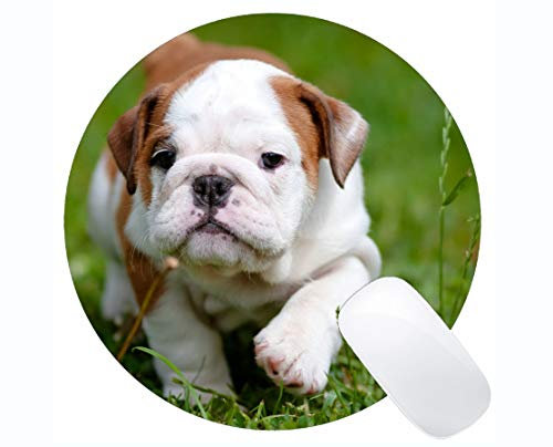 Yanteng Runde Mauspad Benutzerdefinierte, französische Bulldogge Welpen Hund Cute Pet Pitbull Hund rutschfeste personalisierte Runde Mauspad