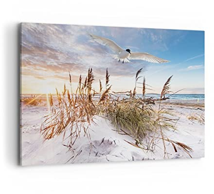 Bilder auf Leinwand 100x70cm Leinwandbild mit Rahmen Möwe Meer Küste Groß Wanddeko Bild Schlafzimmer Küche Deko Wandbilder Dekoration Wohnzimmer Wall Decor Canvas Wand Kunstdruck Art AA100x70-4902