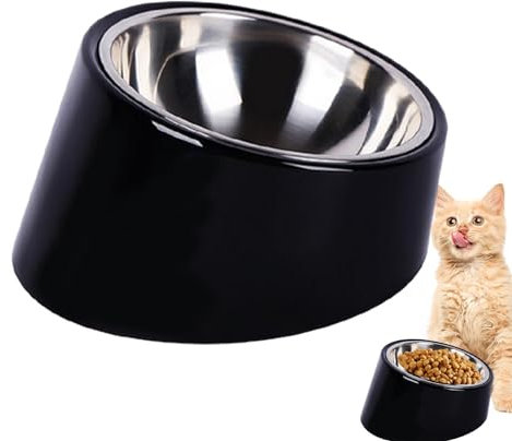 Angled Cat Food Bowl, Anti Vomiting Cat Bowl, Stainless Steel Cat Bowls, Slanted Cat Food Bowls, Detachable Spill Proof Cat Food Bowls, with Incl Base