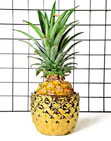 EIS Eimer Bar Champagne Wein EIS Eimer Bier Eimer Kreative KTV Multifunktionale Eiskübel KTV(Pineapple)