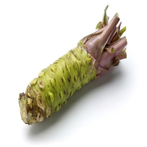 100 piezas de semillas vegetales wasabi verdes