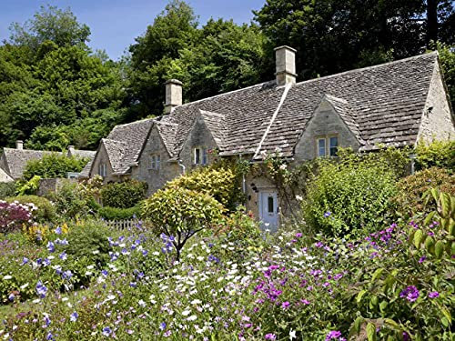 Carbeth Plants 6 x Cottage Garden Plant Mix in 9cm Pots - Nursery Man's Hardy Perennial Collection - Colourful Varieties for Borders, Beds & Wildlife Gardens