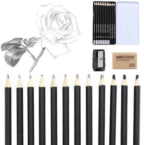 peiqiup Bleistift Set (12 Stück), Zeichenbleistifte, Skizzier und Zeichenstifte Set, 2H, H, HB, B, 2B, 4B, 5B, 6B, 8B,Weich, mittel, hart, Skizzienstifte mit Spitzer und Radiergummi, Schwarz