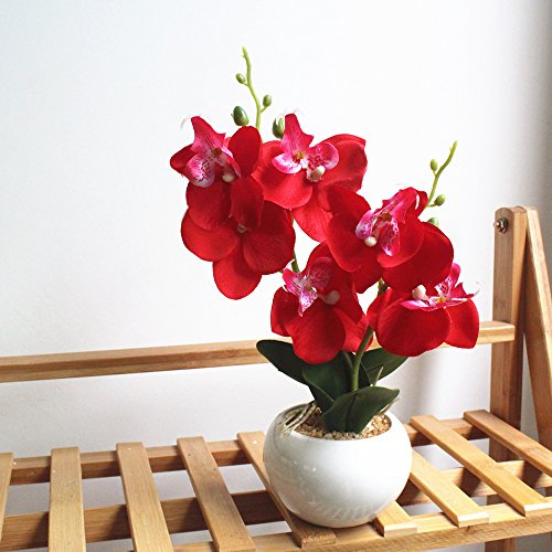 Miguor Künstliche Schmetterlings-Orchidee, 3 Stiele mit kleiner Keramikvase für Heimdekoration, 1 Stück (6 Köpfe, rot)