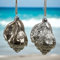 Werner Voss GmbH 6-TLG Glasmuscheln Taupe Silber Glitter Perlen Muscheln Dekohänger Weihnachten Baumschmuck Kugeln Christbaumschmuck