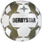 Derbystar Fussball Brillant APS v24