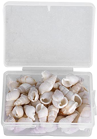 CHICIRIS Meeresschnecken-DIY-Schmuck-Bastelset für Wunderschöne Armbänder, Halsketten und Fußkettchen, mit Aufbewahrungsbox – Ideal für Heimdekorationen und Hochzeitsornamente