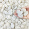 FANTIAN Natural Polished White Pebbles - Smooth Small River Rocks for Plants, Aquariums, Vase Fillers and Fairy Garden (2, Small)