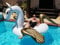 HPT Riesiger aufblasbarer XXL Pegasus/Giant Inflatable Pegasus ~250x250x130 cm