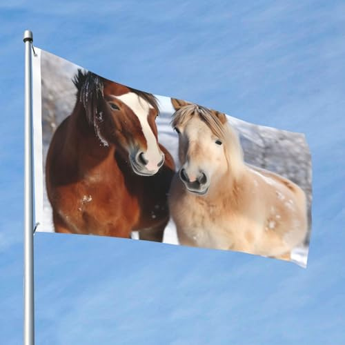 Flagge, 90 cm x 60 cm, doppelseitige Outdoor-Flagge, robustes Banner mit 2 Ösen, Dekoration, Hofflaggen, zwei Pferde, die im Schnee stehen, Polyester, Willkommensflaggen für Urlaub, Hof, alle