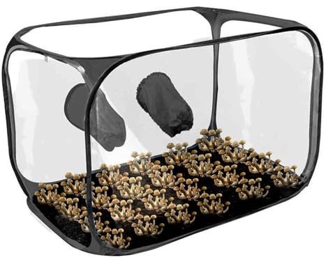 Tenda per la coltivazione di funghi, tenda pieghevole per la coltivazione delle piante, trasparente, serra di ventilazione per stazioni di propagazione di coltivazione, 70 x 40 x 44 cm