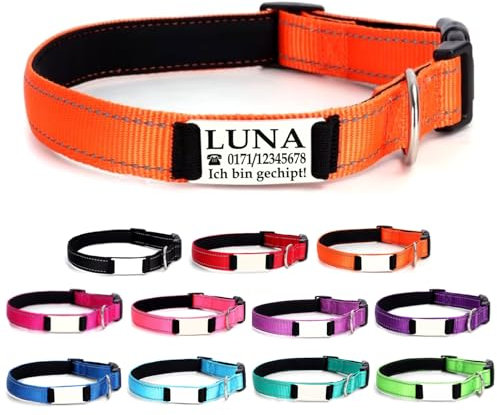 Ibera gifts - Hundehalsband Personalisiert, Hundehalsband Mit Namen Für Mittelgroße Hunde, 35-50 cm, Reflektierend (Orange, M Mittelgroß)