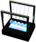 LED Newton's Cradle, Newton's Laws with Swinging Balls, Physics Science Pendulum Balls Desk for Office Physics Teacher