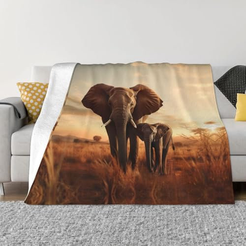 Weiche kuschelige und flauschige Decke mit altem Elefanten und jungen Elefanten, leicht, luxuriös, Flanell, niedlich bedruckte Decke