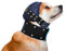 MPS Head Cover für Hund - XL, Mit Cover Pad