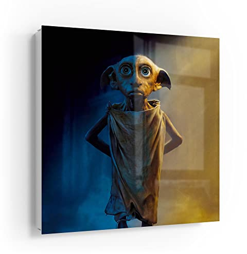 DEQORI Schlüsselkasten weiß | 30x30 cm | Motiv Dobby der Hauself (HP) | Glas & Metall Schlüssel-Box | Schlüsselschrank mit 50 Haken + 2 Magnete | Moderne Design Box magnetisch & beschreibbar