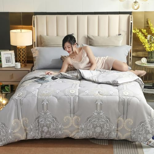 XHCTNN Bettdecke aus Reiner Maulbeerseide Queen Size GrößE, Winterbettdecke aus 100% Maulbeerseide, LuxuriöSe BettwäSche Gesteppte Steppdecke Decke Aus Baumwollstoff(H,180 * 220cm/4kg)