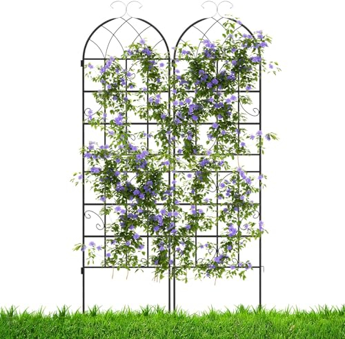 HOMASIS Celosía para trepadoras, Espaldera metálica de Paneles Decorativos para Valla de jardín, Enrejado para Plantas enchufar, Rejilla divisoria para Patio, terraza, Negro (220x50cm, 2 Piezas)