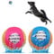 BINGPET Dog Water Toy Bouncing Ball - 2 Pack Floating Toys for Pool & Lake - Doggie Soft Chew Ball for Outdoor Water Sport Interactive Games