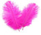 50 piume di struzzo naturali, 15-20 cm, per fai da te, matrimoni, feste, centrotavola, decorazione della casa (fucsia)