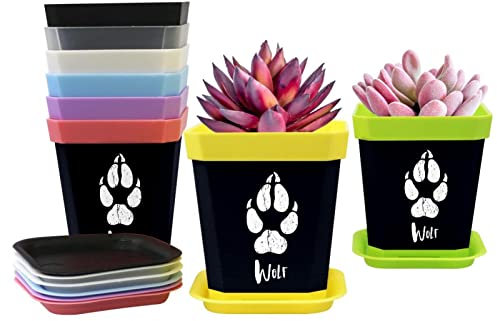 Lot de 8 pots de fleurs en plastique de 7,6 cm, petits pots légers avec plateaux, conteneurs d'intérieur pour plantes succulentes - une trace d'un loup