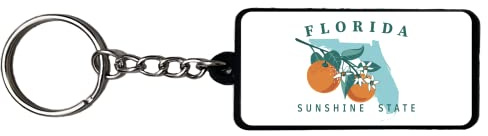 AMERICANPHOENIX Beautiful & Unique Keychains - USA Souvenir, Collectible Design,Flexible Silicone, Keyring Lanyard Accessory, Florida, 2.25 Inch X 1 Inch