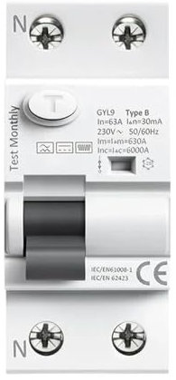 AMEHRU GYL9 Tipo B Interruttore differenziale Corrente differenziale DC ELCB 2P 4P 40A 63A 30mA 100mA 300mA Tipo B Dispersione RCD 6KA(2 Pole,40A 30mA)
