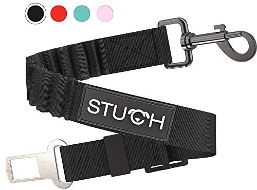STUCH Universeller Bungee Sicherheitsgurt für Hunde & Katzen - Passend für alle Hunderassen & Autotypen (Farbe Schwarz) OneSize