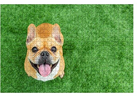 Puzzle 1000 Teile Eine Reihe Junger Französischer Bulldoggenwelpen, Die Rund Um Die Uhr Spielen Und Aktiv Sind Brain Challenge Puzzle Für Kinder Jugendliche Holzpuzzle Für Erwachsene Und Kinder