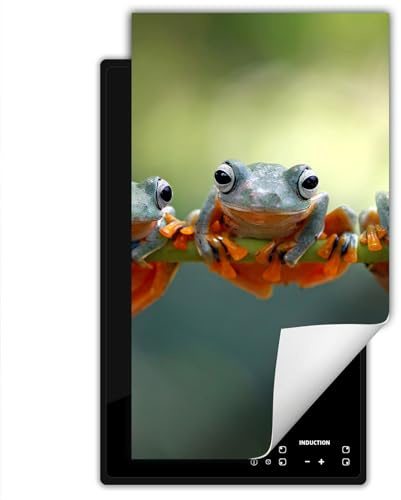 SMTDeco herdabdeckplatte Induktionsmatte herdabdeckung ceranfeld abdeckplatten für ceranfelder induktionskochfeld schutzmatte 30x52 cm Frosch Foto Grün