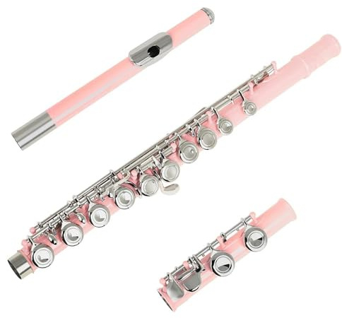 Querflöte 16 Geschlossene Offene Löcher C-Tonart Professionelles Querflöte-Konzertmusikinstrument Mit Box, Stoffstab, Handschuhen(Pink)