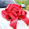 Zoe Deco Große Autoschleife (Rot, 58 cm / 23 Zoll), Geschenkschleifen, Geburtstagsschleife, Riesige Autoschleife, Autoschleifen, Große Rote Schleife, Weihnachtsschleifen für Autos, Geschenkverpackung
