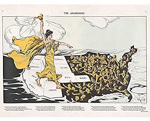 Fine Art Prints Mayer Awakening Votes Women Liberty Map Kunstdruck Leinwand Premium Wall Decor Poster Wandbild