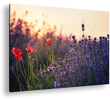 Leinwandbild Lavendel und Mohn – blühender Traum Format: 120x80 cm XXL Kunstdruck Bild auf Keilrahmen/Wandbild/Wohnzimmer Deko