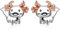 Axolotl Ohrringe 925 Sterling Silber hypoallergen Axolotl Ohrstecker Schmuck Geschenke für Mädchen Kinder Damen