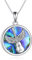 YFN Gitarre Halskette Sterling Silber Gitarre Anhänger/Urne Kette Punk Musik Schmuck Bank Geschenke Für Herren Damen (abalone)