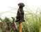 Cane Companions Decorative Labrador Stake Topper - Handmade Flower Pot Garden Ornament - Outdoor Figurine