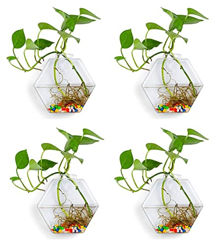 SJDWDX 4 macetas de cristal para colgar en la pared, macetas de vidrio hexagonales, macetas de aire para colgar en la planta, jarrones de flores, macetas de terrarios para decoración del hogar y la