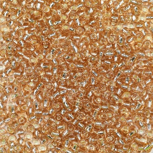 Bala&Fillic Size 6/0 Glass Seed Beads Champagne Color 4mm Transparent Silver Lined Seed Beads for Making Bracelet Necklace and Jewelry About 1200pcs/100g (Champagne)
