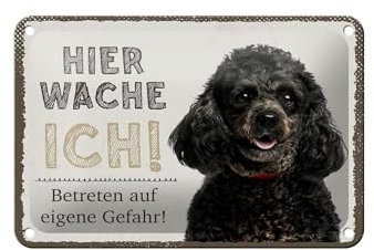 FEMER Blechschild Spruch 18x12cm Pudel Hier wache eigene Gefahr Dekoration