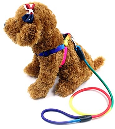 Angoily Rainbow-farbige Hundehalsbänder Und Einstellbares Geschirr Für Kleine Hunde Strapazierfähiges Für Und Haustiere