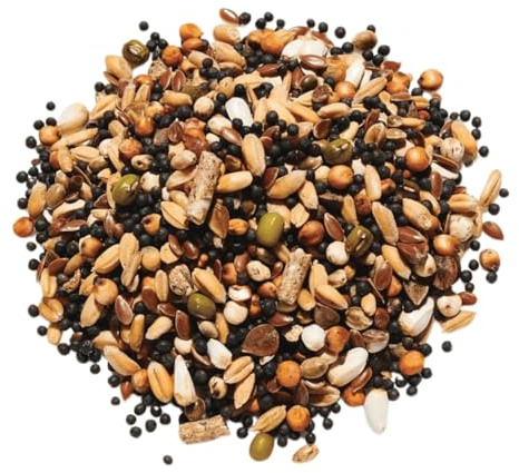 Countrywide Trapping and Conditioning Pigeon Corn Mix 20 kg - Premium Quality Food For Pigeons - Dust Free - High Protein, Oils, Vitamins