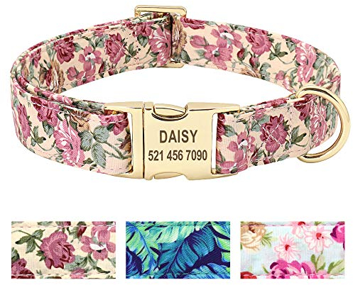 Collar para Perro con diseño Floral de Beirui, Personalizable con Placa de Nombre grabada, Collar Perro Personalizado Premium con Hebilla de Acero Inoxidable, Flor Beige Collar Perro, S(10-15.5)
