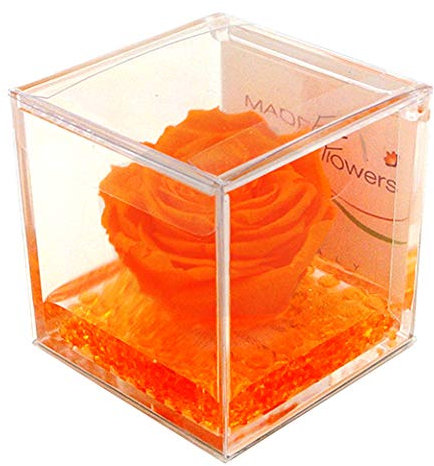 rosa vera arancione, regalo festa pensiero cerimonia, dura per sempre, stabilizzata profumata cubo 8x8x8 plexiglass